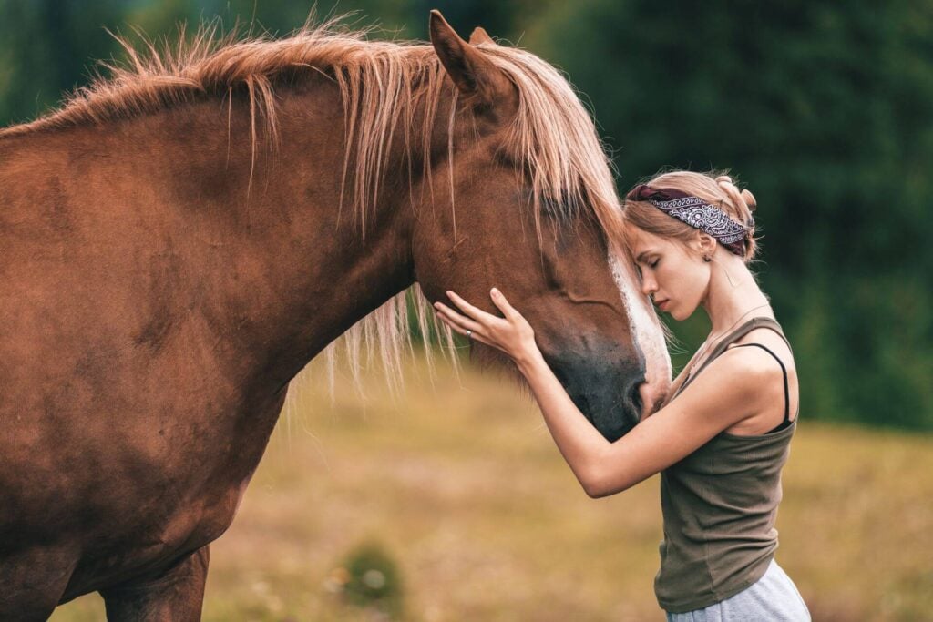 What is the objective of equine-assisted therapy