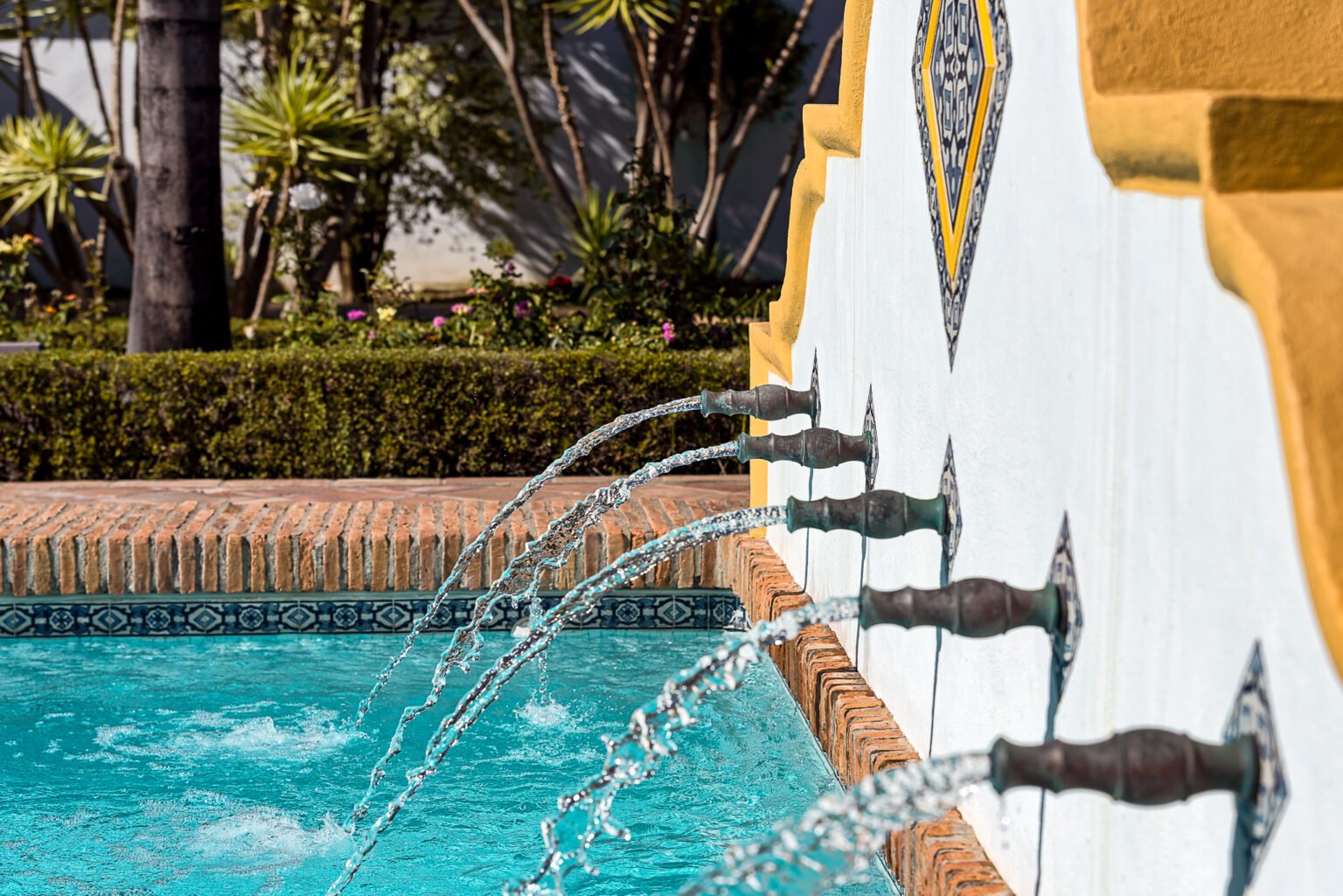 Camino Recovery - Pool