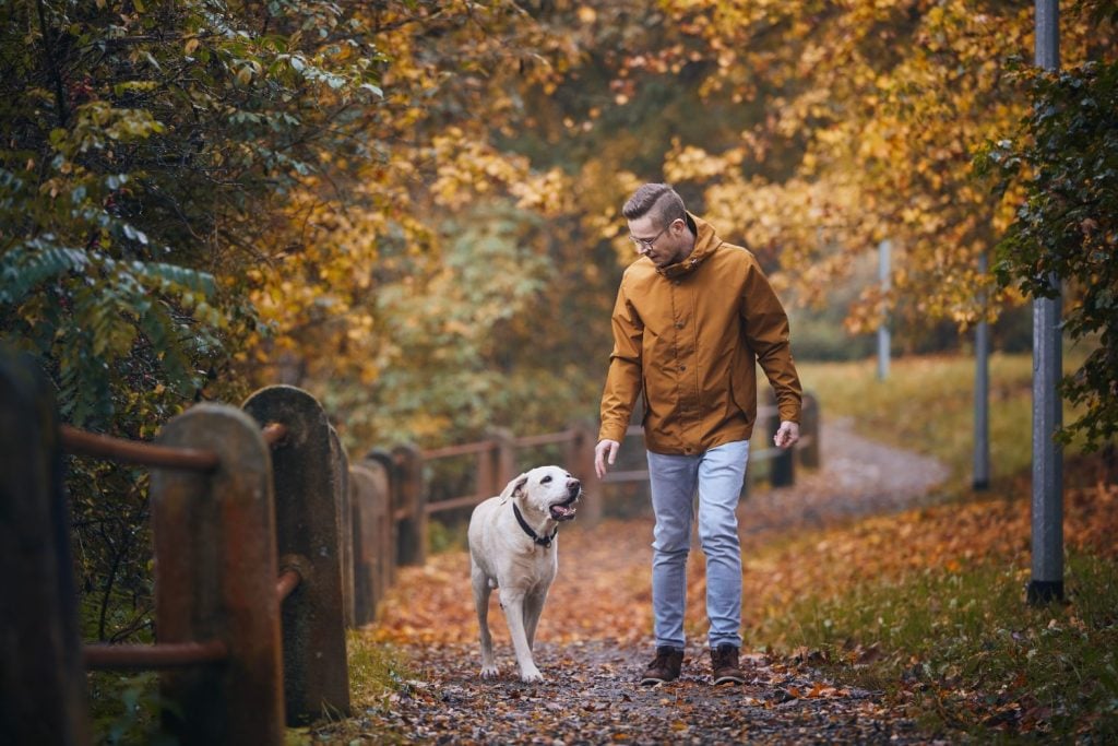 man walking with his dog, daily routine concept